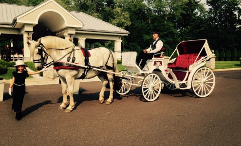 New Freedom Horse Drawn Carriages, LLC Monroeville
