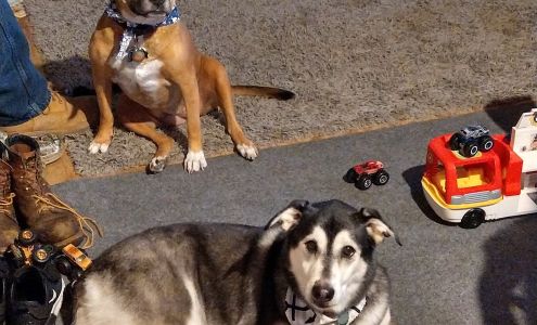 RiverView Kennel LLC Belvidere