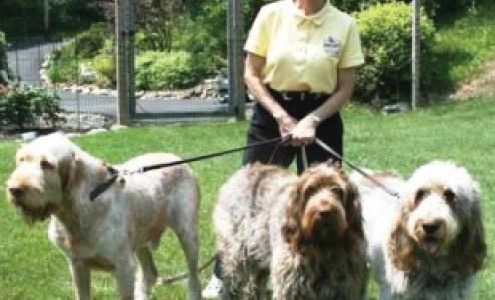 Good as Gold K9 LLC Belvidere