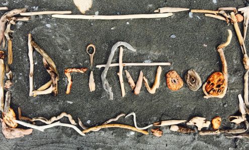 Driftwood Vet