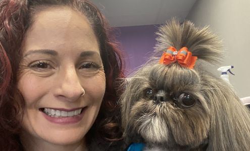 Sirius Pet Styling: Dog Grooming & Doggy Daycare