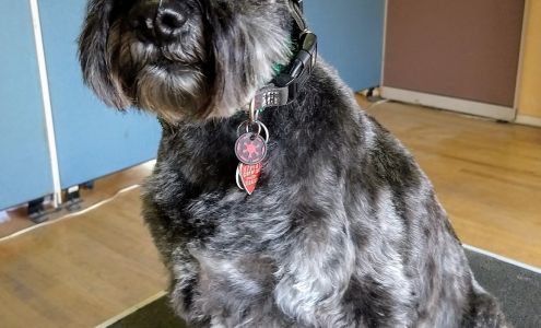 High Plains Clipper, LLC Tijeras