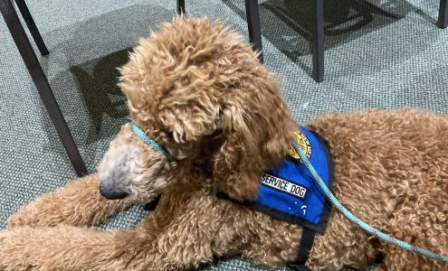 Service Dogs Of New Mexico Sandia Park
