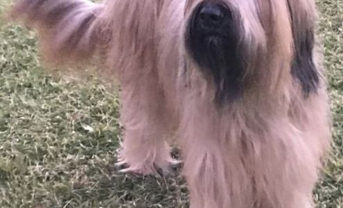 Dr. Mike Dobesh, DVM Santa Fe