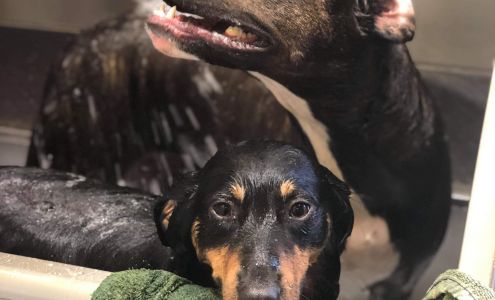 Corinne's Pooch Parlor New Tripoli