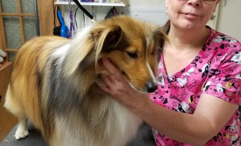 Forget-Me-Not pet grooming New Tripoli