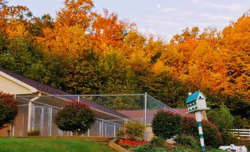 Country Pet Hideaway Reinholds