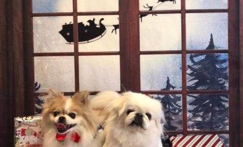 Drag Em In Dirty Stewartsville