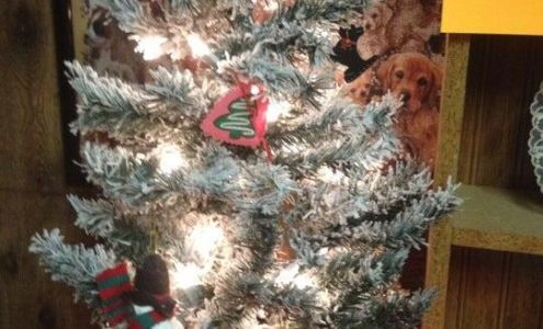 Tes's Pet Grooming Salon West Manchester