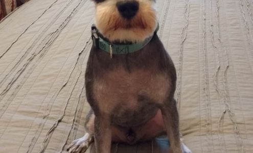 Grooming & Parrot Emporium