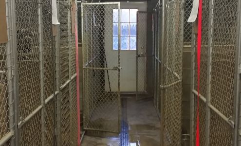 Falling Fowl Kennels Spring Valley