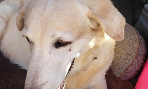 Warm Animal Hospital