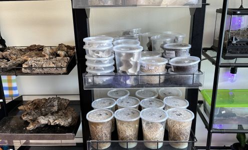 Back Road Reptiles and Exotics