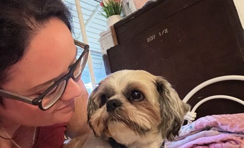 Dog House Mineral Ridge