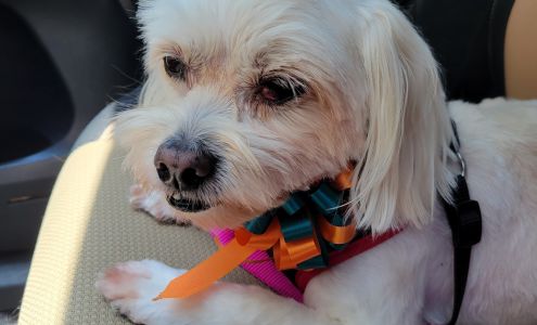 Pet Styling By Sherry Inc