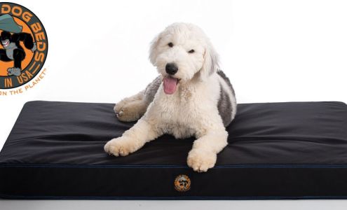 Gorilla Dog Beds Houston