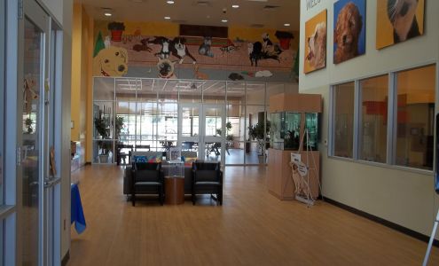 Citizens For Animal Protection