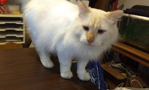 Helotes Humane Society