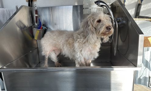 Bruno's Place DIY Dog Wash (self-serve only) NOT A GROOMER