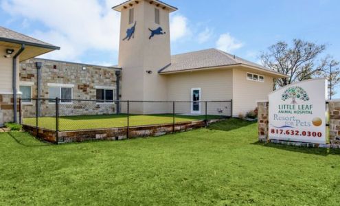 Little Leaf Animal Hospital