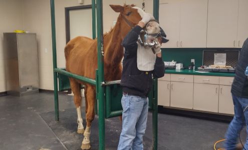 Lone Star Park Equine Hospital