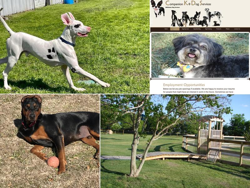 Companion K-9 Dog Services