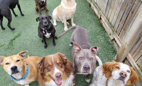 Tail Chasers Pet Boutique