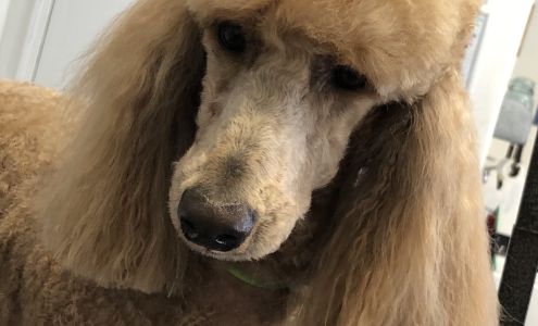 The Happy Hound Dog Grooming And Pet Supplies