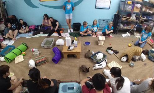 San Diego House Rabbit Society