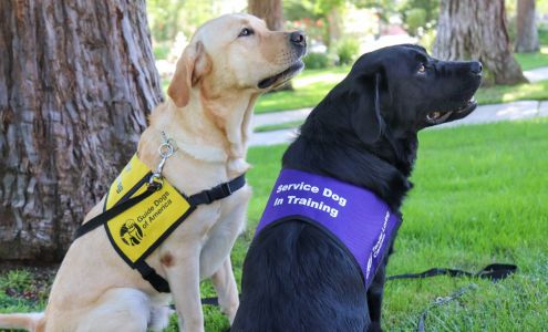 Guide Dogs of America - Tender Loving Canines