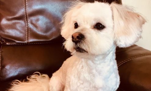 Rucci's Grooming & Pet Wash