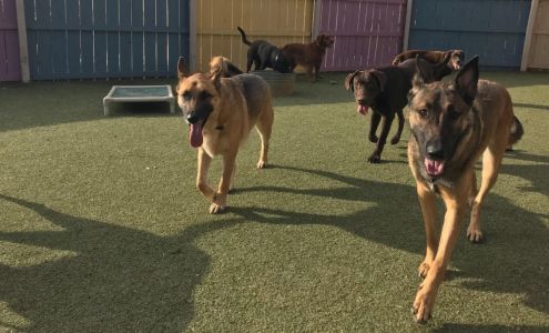 Muddy Paws Country Spa