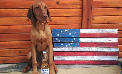 Your Dog's Inn Newburgh