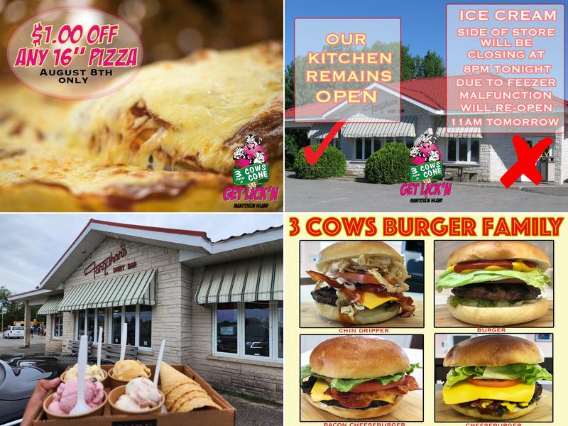 3 Cows & A Cone Inc. 64 Meredith St E, Little Current