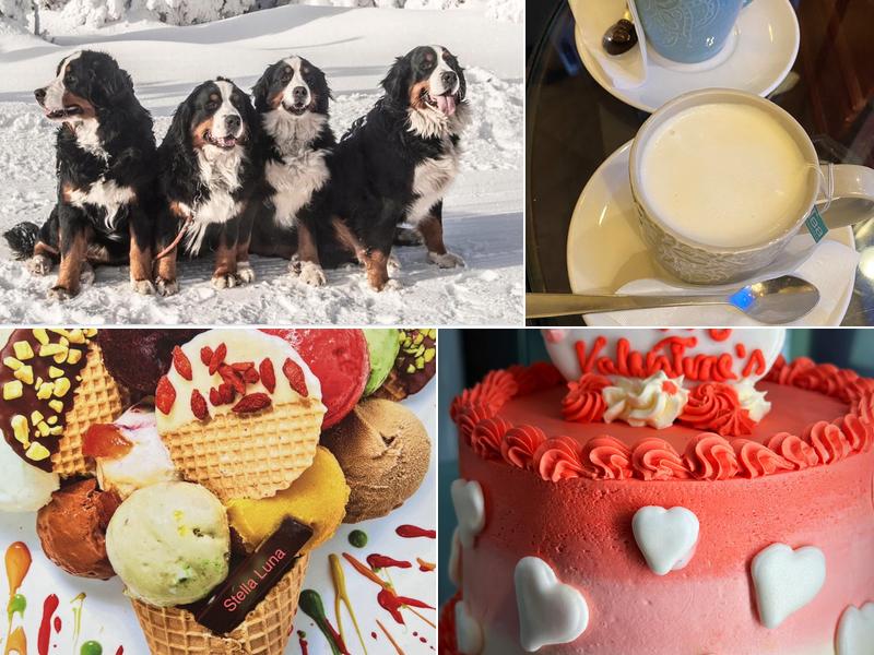 Stella Luna Gelato Cafe