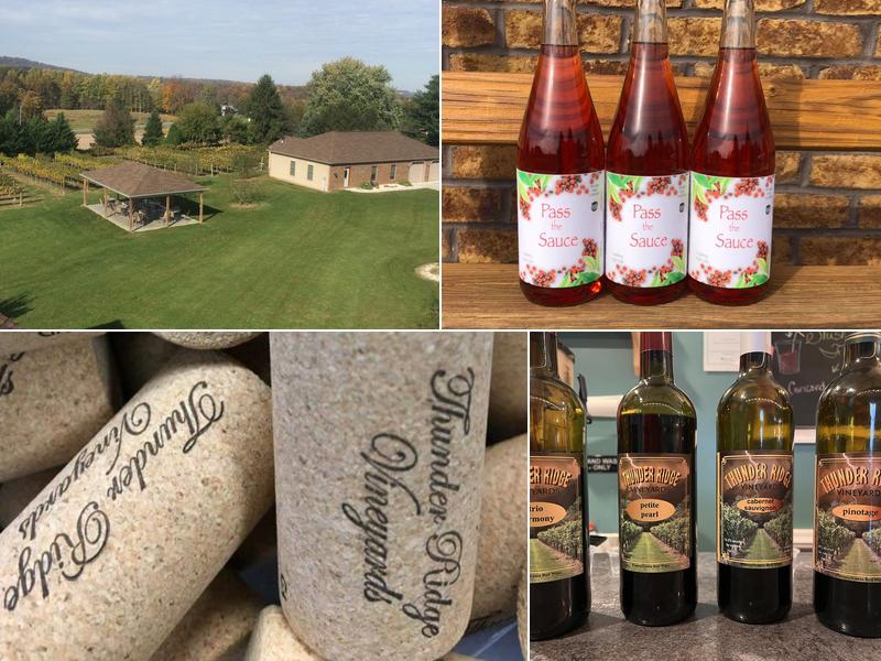 Thunder Ridge Vineyards 932 Hilltop Dr, Spring Grove