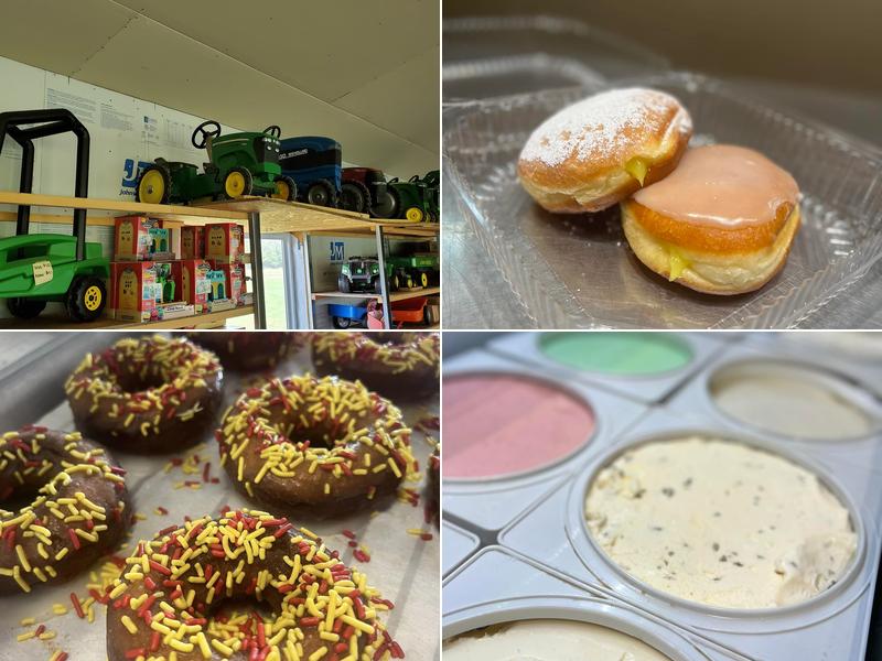 Papas Pumpkin Patch 3909 S Summerton Rd, Mt Pleasant