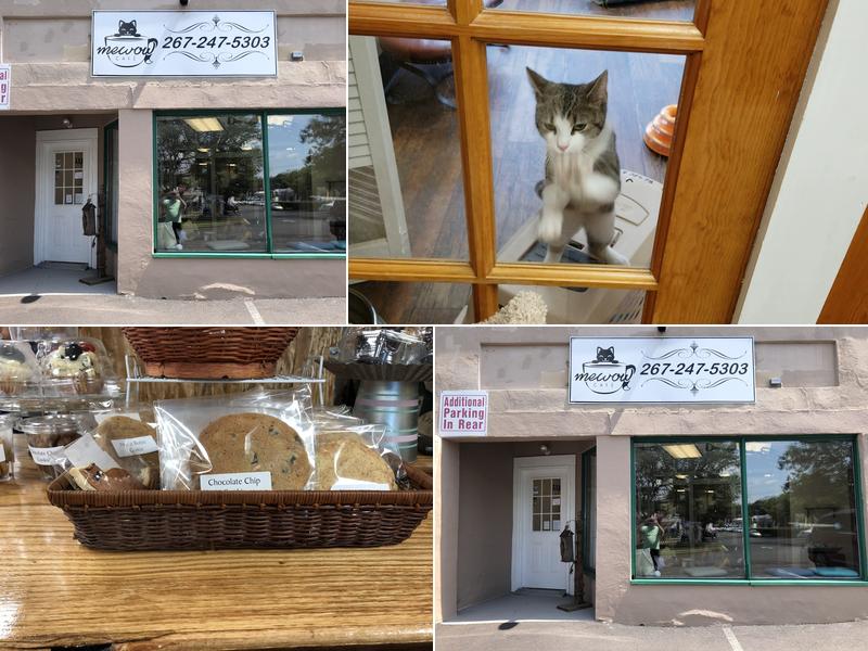 MeWow Cat Cafe 3617 Old Easton Rd, Doylestown
