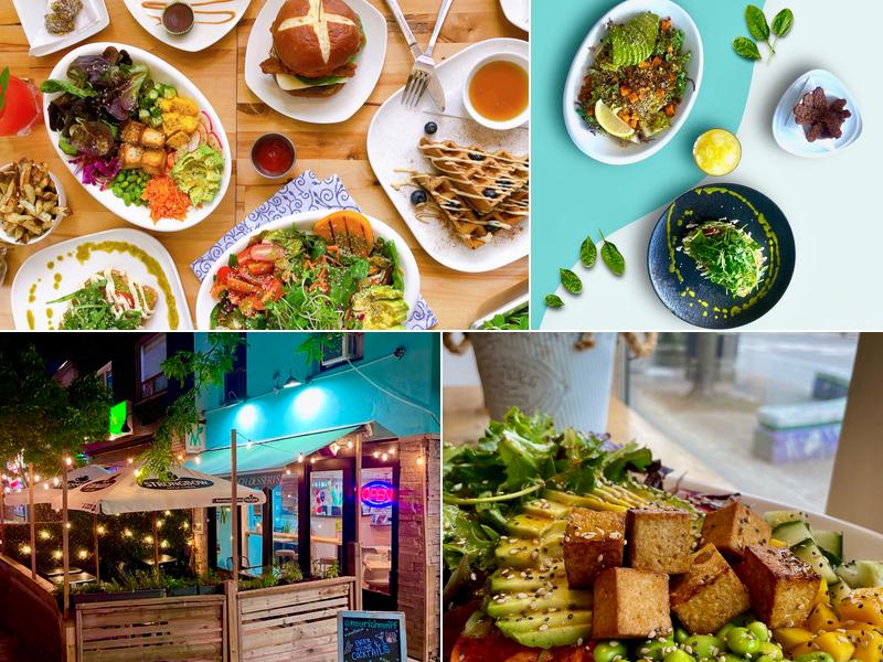 Nourishmoi 229 Lakeshore Rd E, Mississauga