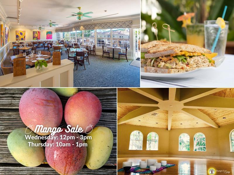 Harvest & Wisdom at Shangri-La Springs 27750 Old 41 Rd, Bonita Springs