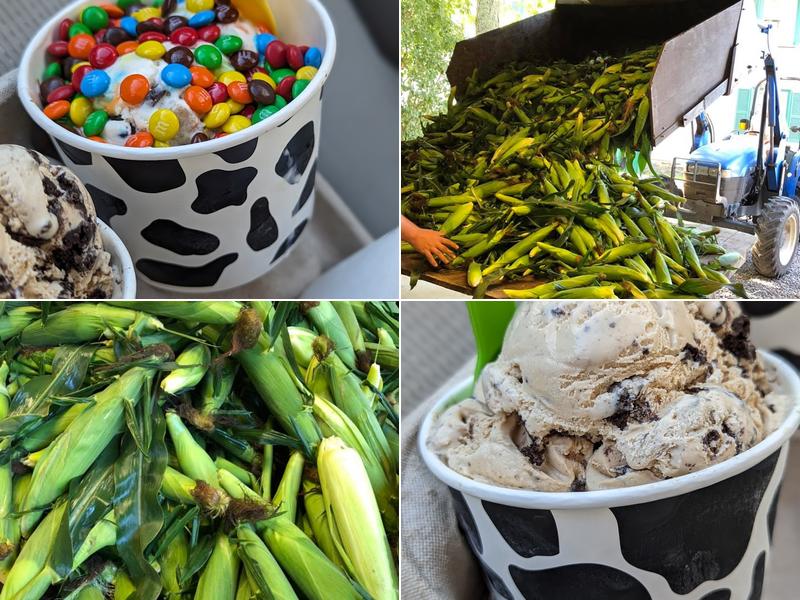 Flint Farm Ice Cream