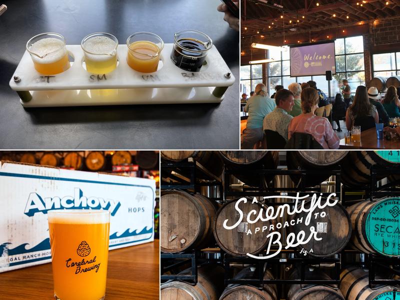 Cerebral Brewing - Congress Park