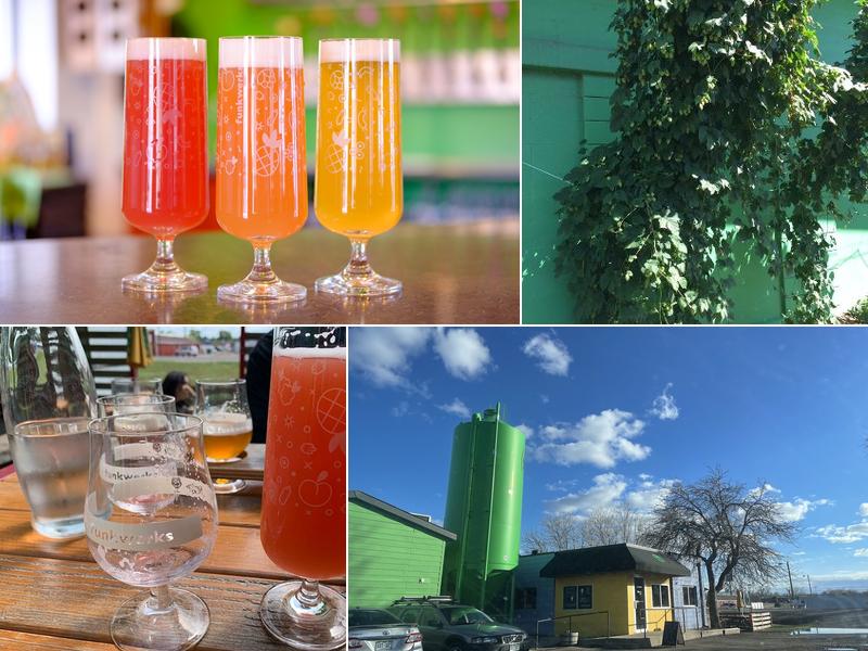 Funkwerks 1900 E Lincoln Ave unit b, Fort Collins