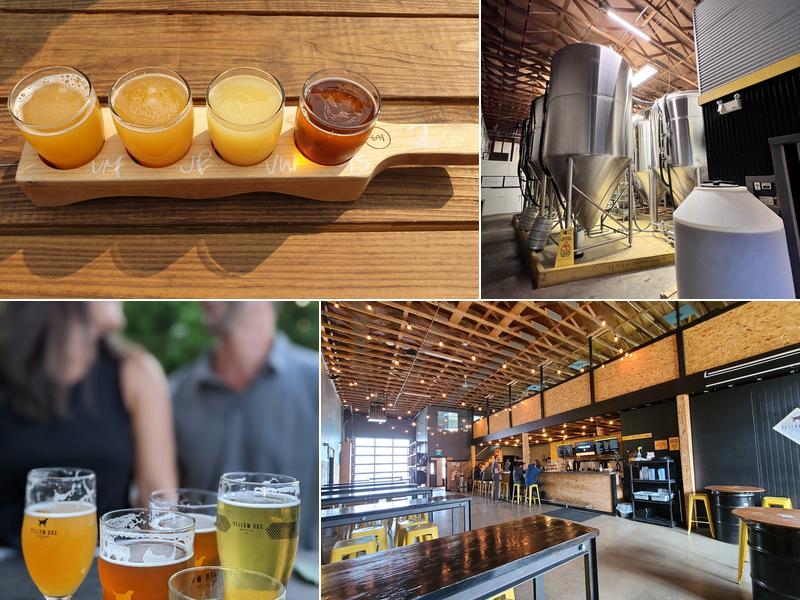 Yellow Dog Brewing Co.
