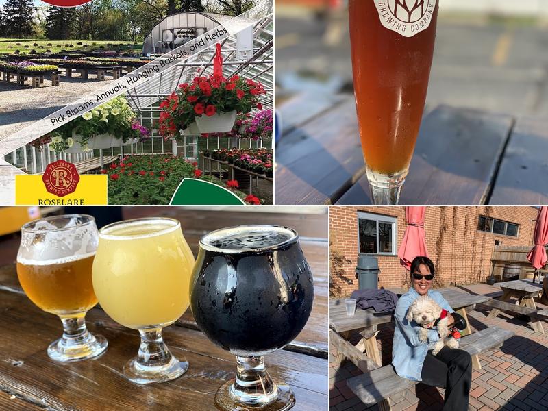 Pollyanna Brewing Company - Roselare