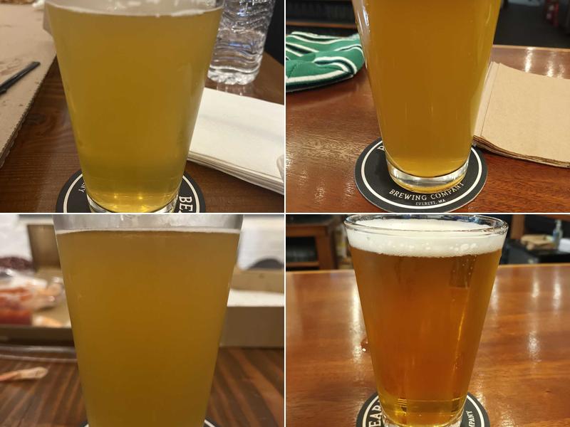 BearMoose Brewing Company