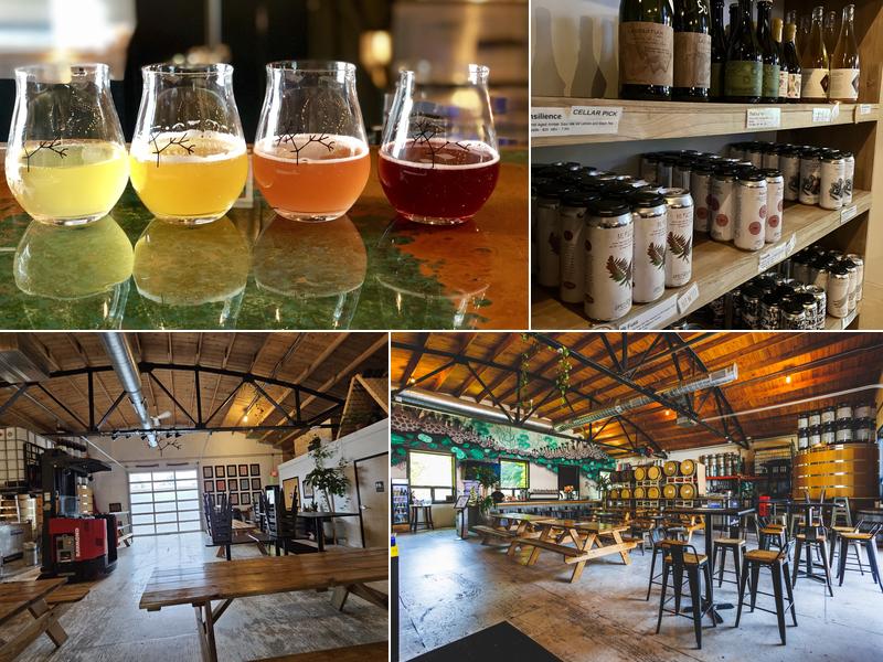 Speciation Cellars 928 Wealthy St SE, Grand Rapids