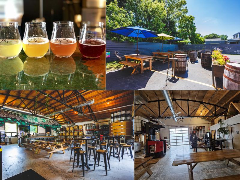 Speciation Cellars 928 Wealthy St SE, Grand Rapids