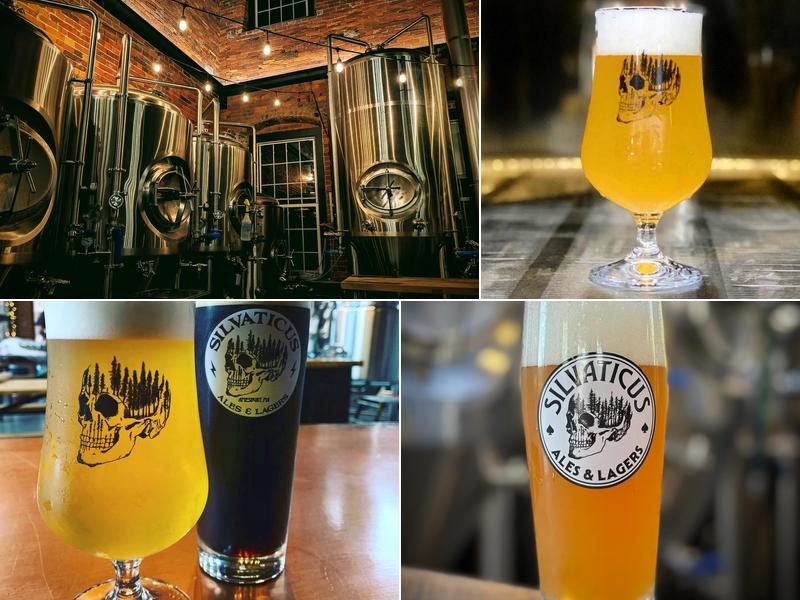 Brewery Silvaticus 9 Water St, Amesbury