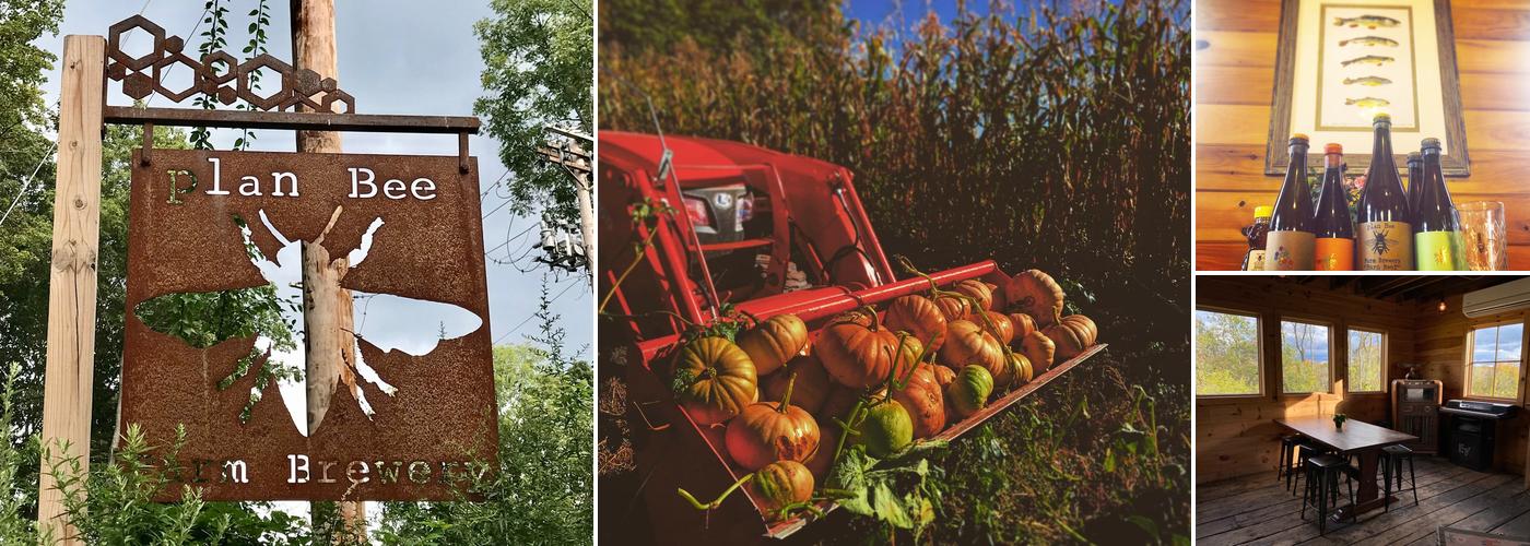 Plan Bee Farm Brewery